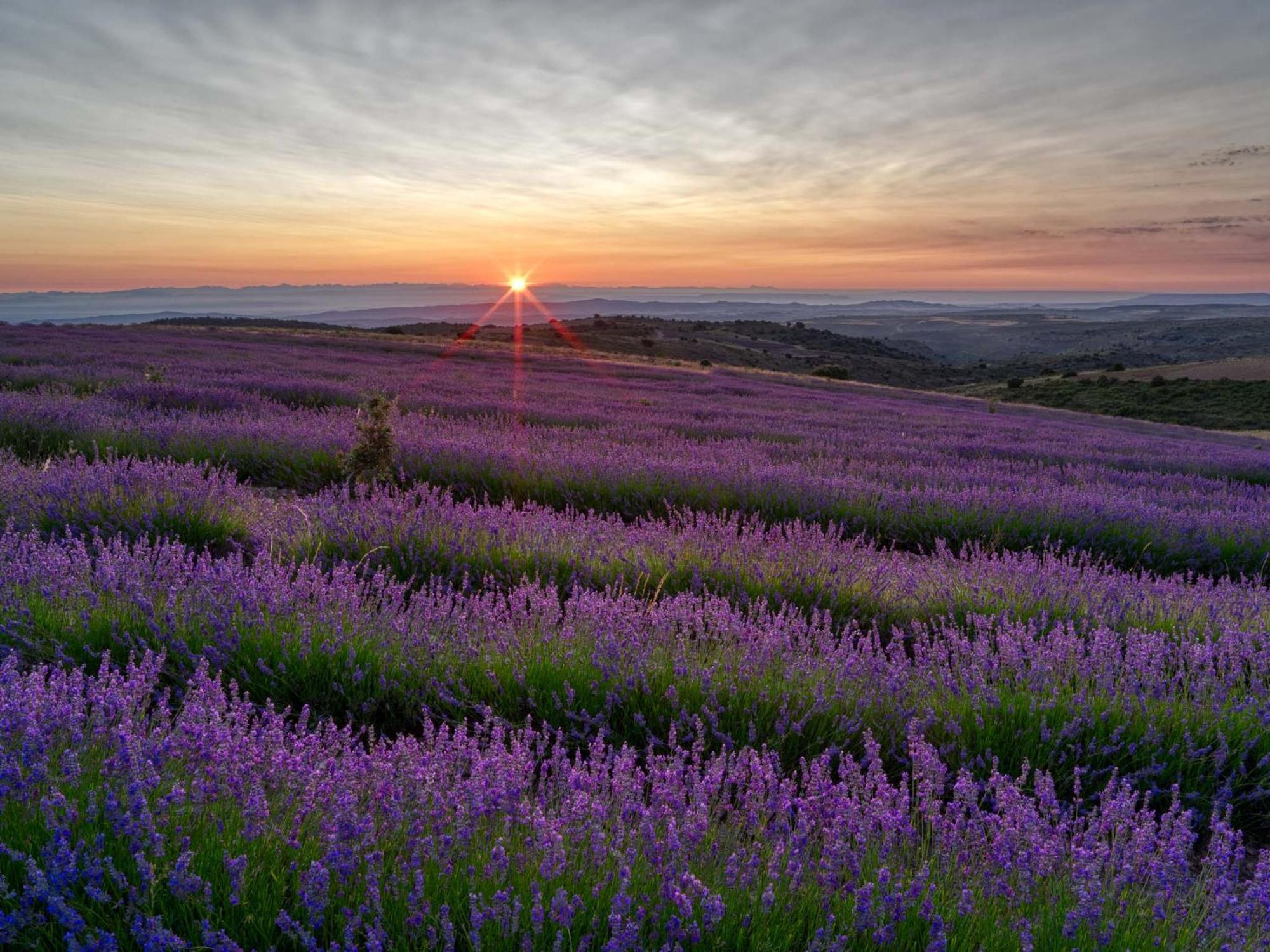 Las Abadias Сан-Фелисес Экстерьер фото