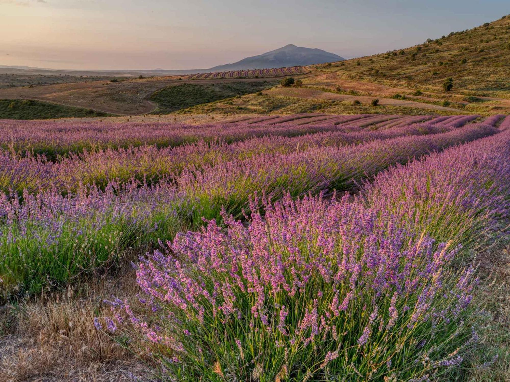 Las Abadias Сан-Фелисес Экстерьер фото